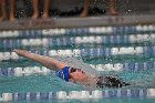 Swim vs Bentley  Wheaton College Swimming & Diving vs Bentley University. - Photo by Keith Nordstrom : Wheaton, Swimming & Diving